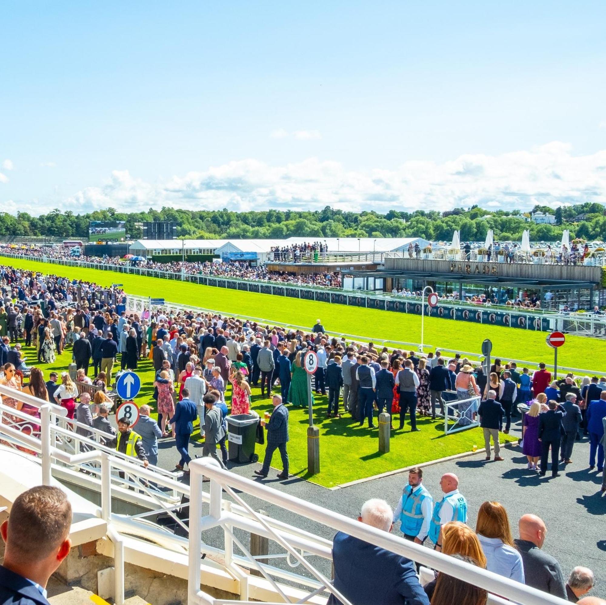 Racecourse Views, Townhouse With Parking Chester